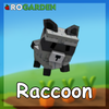 Raccoon